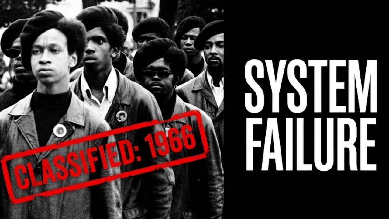 The Black Panthers: How the U.S. Tried to Destroy Them